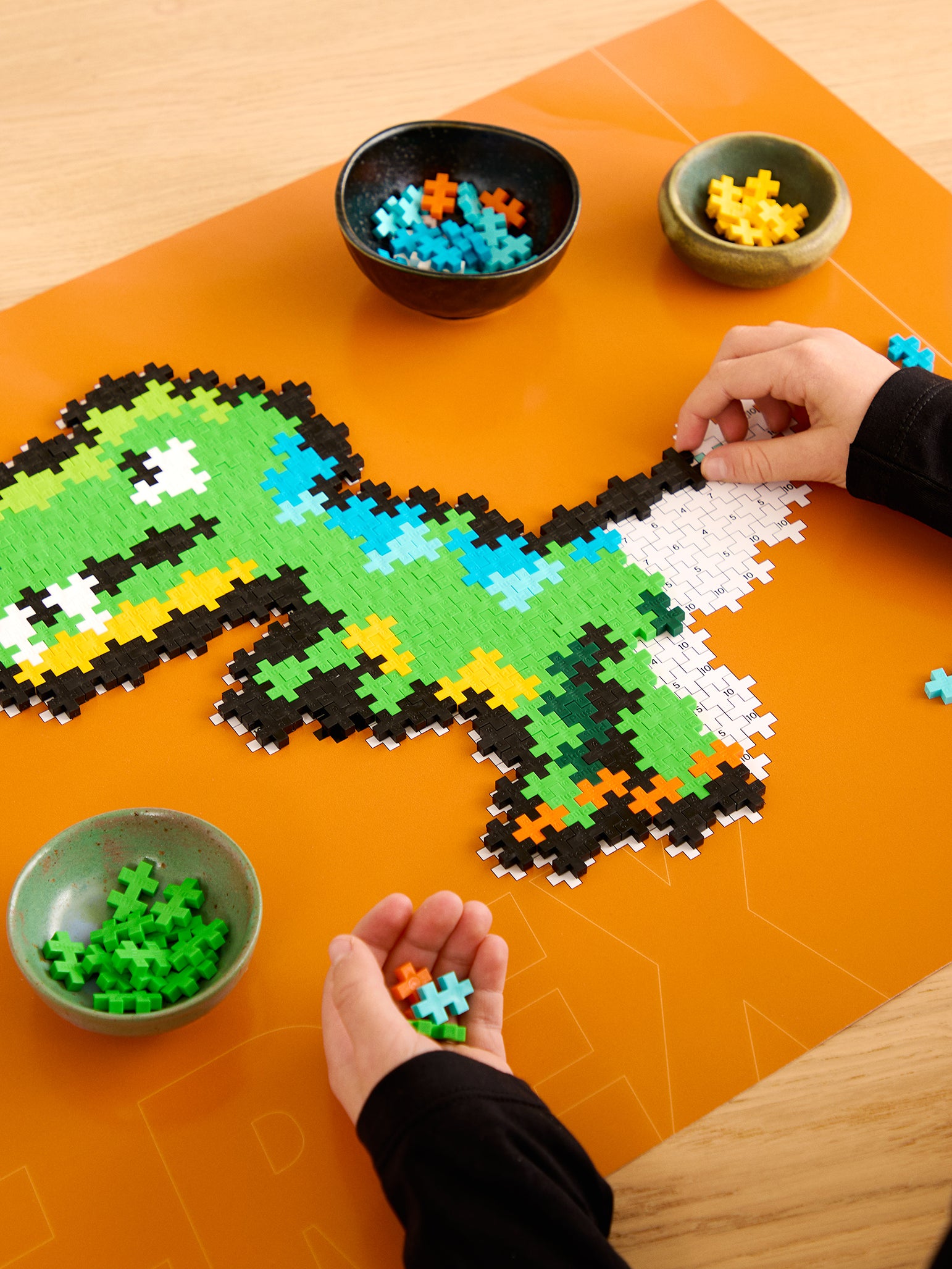 Puzzle By Number - T-Rex