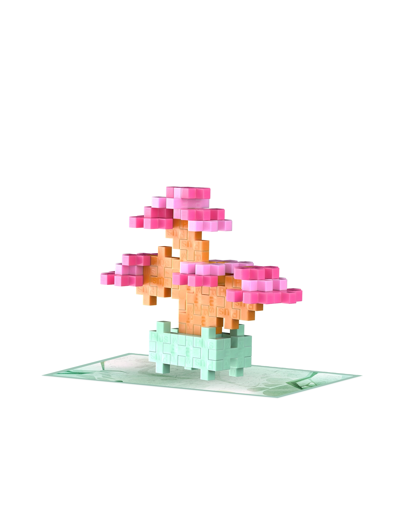 Växter - Bonuspaket