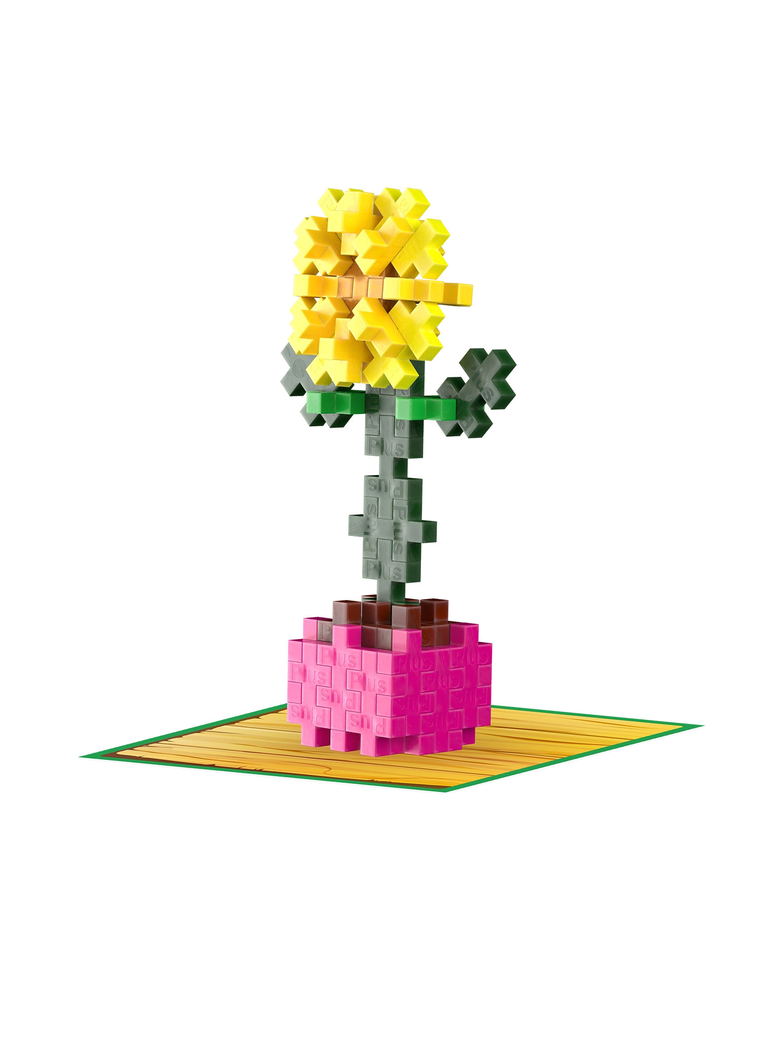 Växter - Bonuspaket