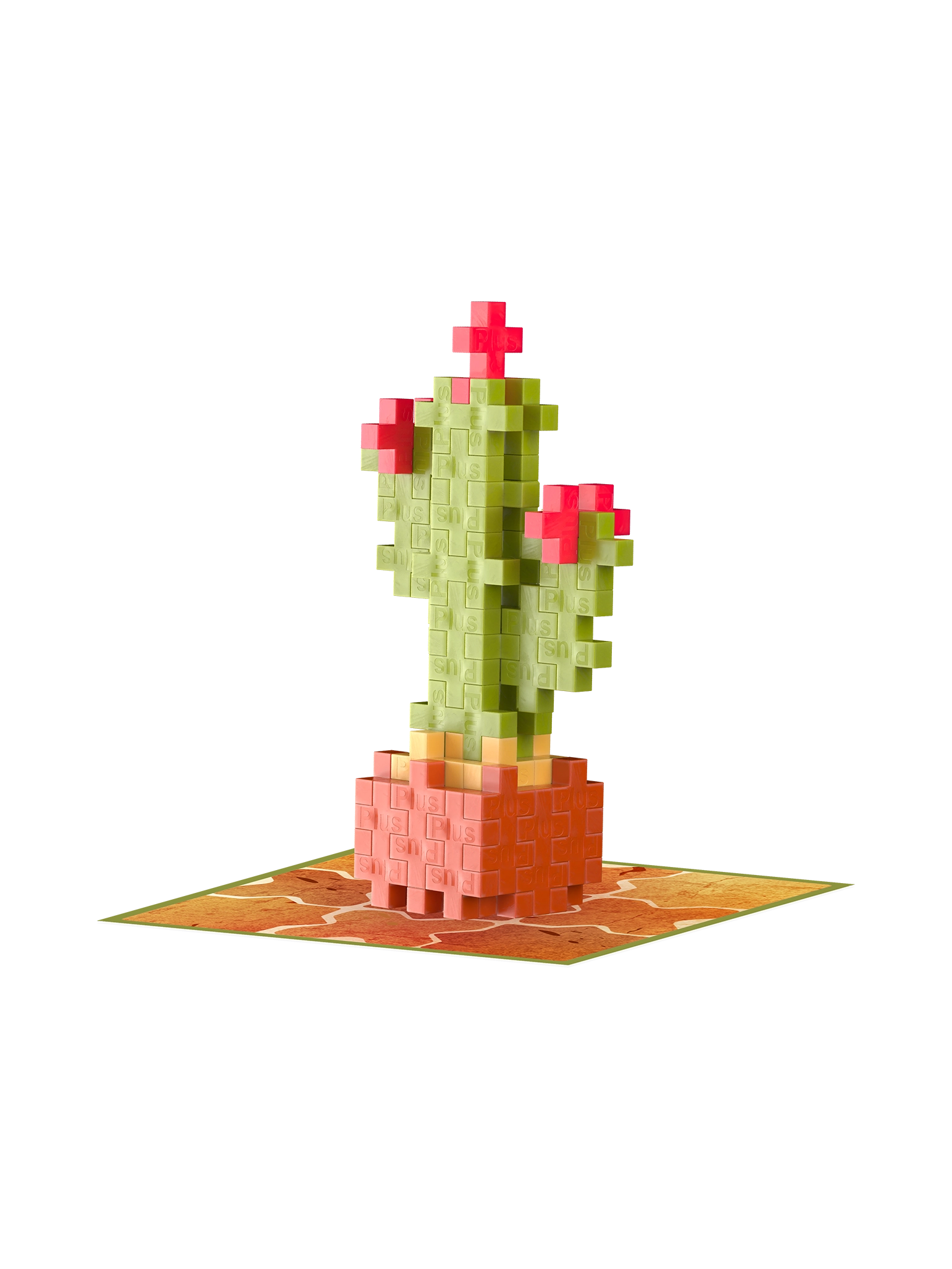 Växter - Bonuspaket